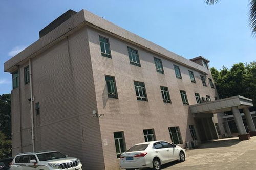 今日新聞 技術精湛，專業護航——聚焦十堰、襄陽、宜昌三地房屋建筑檢測與鑒定